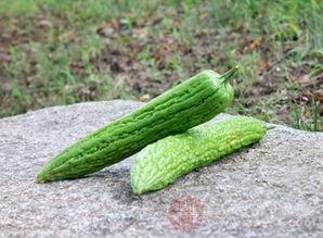 凉瓜孕妇可以吃,营养美味两不误