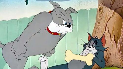 汤姆吃瓜原图,趣味横生的瞬间捕捉