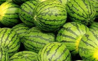 猜猜吃的瓜,一场趣味横生的美食挑战之旅