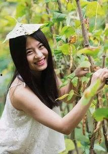 甜甜吃瓜小说,甜甜的恋爱冒险记