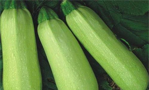 角瓜怎么吃健康,角瓜的多彩吃法解析