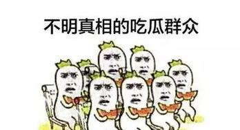 吃瓜群众2图片,一场视觉盛宴背后的故事